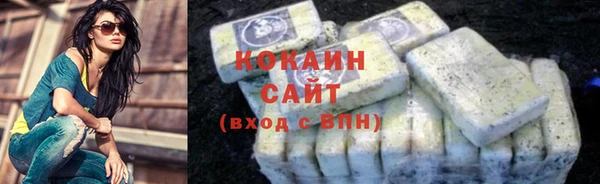 шишки Арсеньев