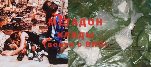 шишки Арсеньев