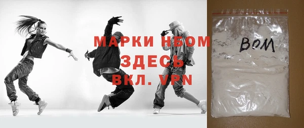 шишки Арсеньев