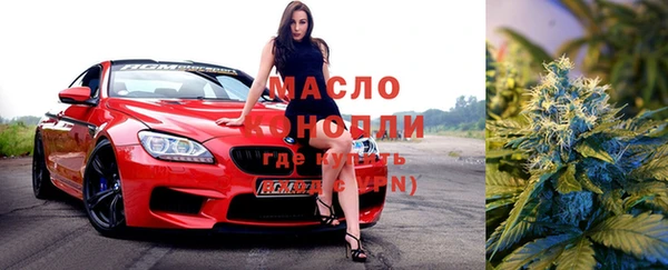 шишки Арсеньев