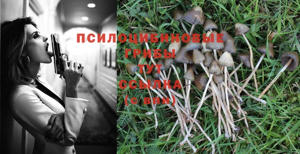 кокс Аркадак