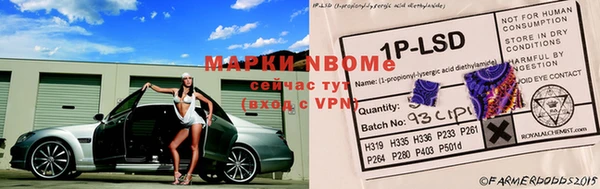 шишки Арсеньев