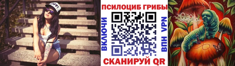 Купить закладки  Боготол  Галлюциногенные грибы Magic Shrooms 